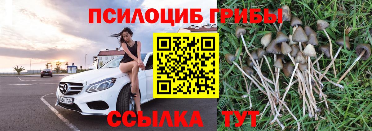 Асбест  Псилоцибиновые грибы мицелий  Вход с VPN 